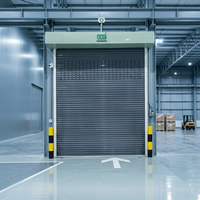 Portes enroulables modernes en acier inoxydable de style industriel, résistantes au vent, pour garage, vente en gros à prix avantageux