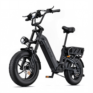Bicicletta elettrica con pneumatici fat da 16 pollici <span class=keywords><strong>x</strong></span> 4.0, motore anteriore brushless da 750W, doppia batteria al litio da 48V, <span class=keywords><strong>e</strong></span>-bike a lunga autonomia - Product Image 3