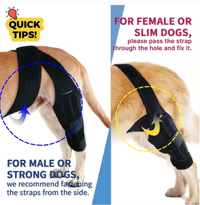 Soporte ortopédico para pierna de perro OEM para ACL, rodillera para mascotas, Protector para mascotas, manga de recuperación de piernas, reduce el dolor articular, rodillera para perros - Product Image 4