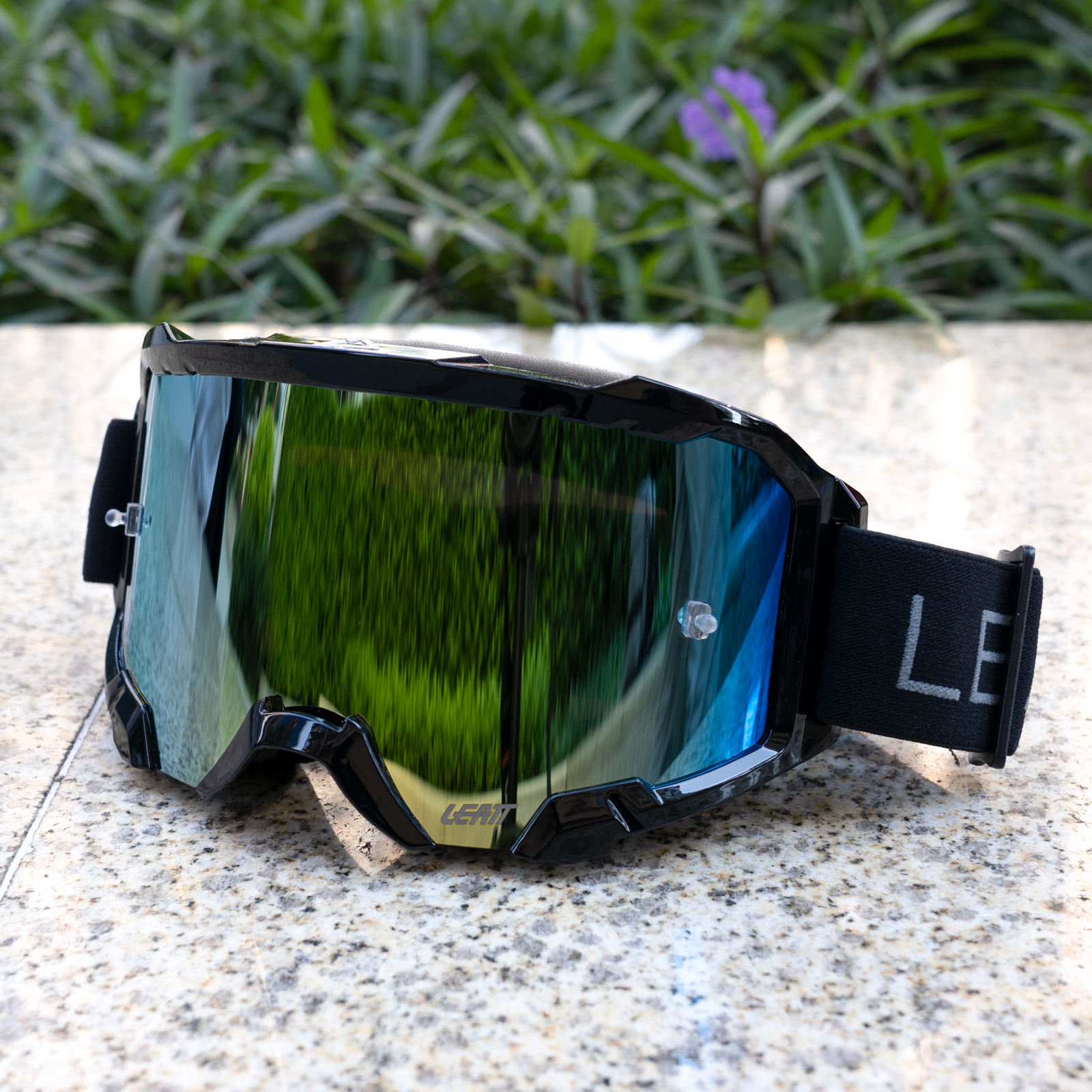 กรอบดำ / เลนส์ทอง