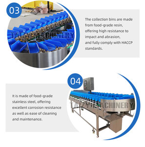 Trieuse pondérale automatique à grande échelle pour huîtres, fruits de mer, pommes de terre, oignons, pommes et poissons - Product Image 6