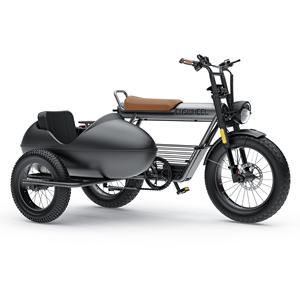 Vélo électrique à gros pneus de voiture latérale vente directe d'usine 25ah 1000w <span class=keywords><strong>moto</strong></span> Ebike Sidecar route légal Dirt Ebike électrique pour adulte - Product Image 2