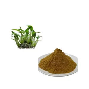 Dendrobium Extract Crude Medicines Raw Material Dendrobium Officinale Extract Powder