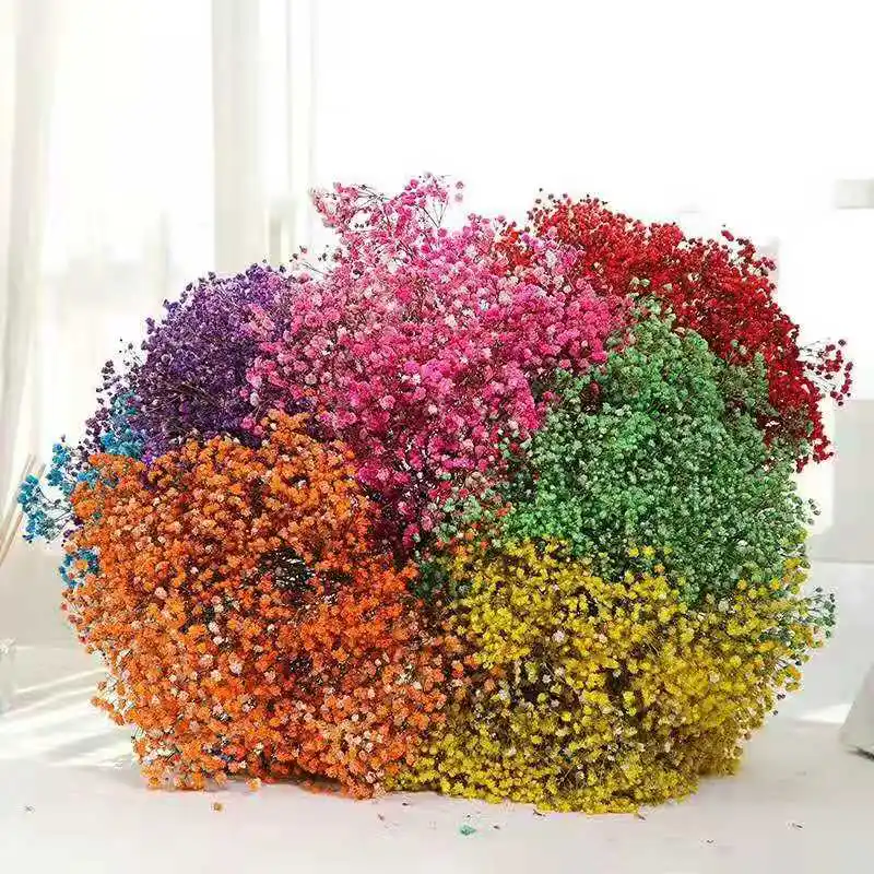 Decoration flower dried preserved flowers gypsophila paniculata baby breath for floral decors