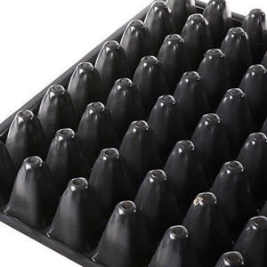 200 celdas enchufe bandejas <span class=keywords><strong>de</strong></span> semillas <span class=keywords><strong>de</strong></span> plástico <span class=keywords><strong>mango</strong></span> planta propagación bandejas <span class=keywords><strong>de</strong></span> plántulas vivero <span class=keywords><strong>de</strong></span> plástico - Product Image 5