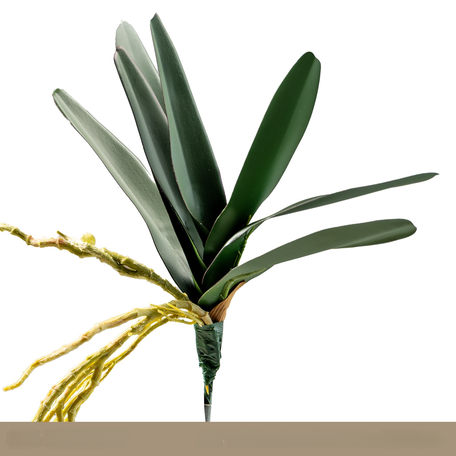 7 morceaux de feuilles d'orchidée Bandai
