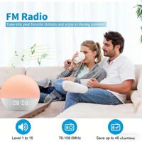 Réveil Lumineux Simulateur d'Aube avec Radio FM, Sons Apaisants et Bruit Blanc, Lampe de Nuit 7 Couleurs, Double Alarme, Fonction Snooze, Alimentation USB, en Plastique