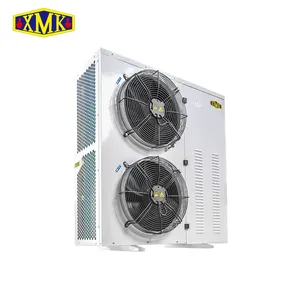 Caixa de baixa temperatura tipo unidade de condensamento para a refrigeração sala fria