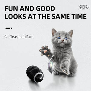 Nuevo diseño, juguetes de bolas para gatos ecológicos, multifunción, interactivo y de movimiento, suministros para mascotas, coche de equilibrio chirriante con hierba gatera - Product Image 2
