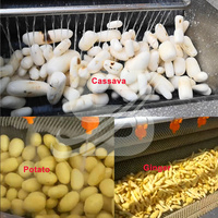 Automatische elektrische commerciële mini-aardappel schilmachine en wasmachine