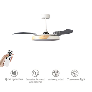 Hiện đại 44-inch LED quạt trần với ánh sáng ưa thích vô hình treo thiết kế điều khiển từ xa PC đèn cơ thể - Product Image 2