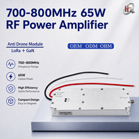 Amplificateur RF GaN personnalisable 65W 700-800MHz, module Lora, module anti-drone RF, VCO intégré