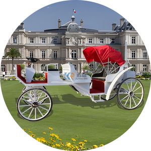Buggy électrique sans chevaux de style européen, magnifique chariot en acier pour passagers, idéal pour les visites touristiques - Product Image 5