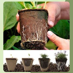 Pots de pépinière biodégradables en vrac |   Gobelets de plantation biologiques avec garantie de décomposition de 90 jours - Product Image 5