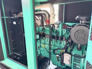 Générateur de <span class=keywords><strong>biomasse</strong></span> à fonctionnement facile 120 kW 100 kW 200 kW 250 W, haute efficacité CE, <span class=keywords><strong>cogénération</strong></span> 150 kW, générateur CHP biogaz GPL - Product Image 2