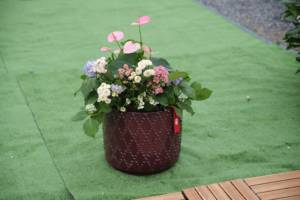 <span class=keywords><strong>Pot</strong></span> en terre cuite émaillée monobloc avec trou de drainage <span class=keywords><strong>pour</strong></span> bonsaï, vase à fleurs, usage intérieur/extérieur <span class=keywords><strong>pour</strong></span> la maison et le jardin - Product Image 2