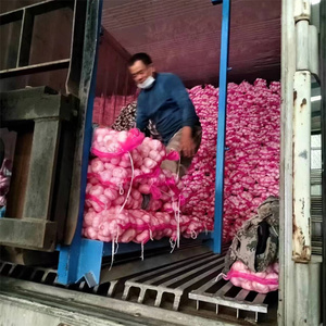 g1大蒜种子中国大蒜供应商，价格便宜的生大蒜出售 - Product Image 6