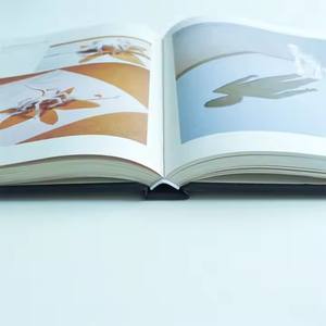 Colección de Libros en Miniatura Ecológicos con Tapas Duras, Papel Recubierto y Cubiertas Ilustradas con Papel de Lujo para Coleccionistas de Libros - Product Image 5