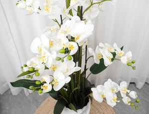 Oh Arts Factory Price Sale Home Decorative Artificial Real Touch Orchids in Ceramic Pot <b>Ornamental</b> Potted Flowers - Product Image 4