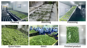 WYLFOODS prezzo di fabbrica all'ingrosso all'ingrosso IQF semi di soia sgusciati congelati chicchi di <span class=keywords><strong>edamame</strong></span> prezzo - Product Image 5