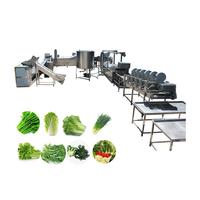 Automatische 500kg/uur machine voor het wassen, snijden en meerdere lagen drogen met warme lucht van verse fruit- en groentechips voor voedingsmiddelenindustrie