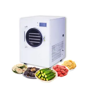 Mini Vacuum Freeze Food Dryer Lyophilizer Fruit Vegetable Freezing Drying Machine Food Dehydrator for Sale