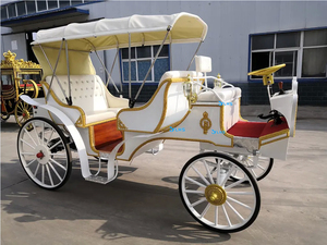 Carruaje de caballos al aire libre real de lujo europeo completo/vehículo de caballos de tráfico turístico/carro de caballos eléctrico de turismo a la venta - Product Image 6