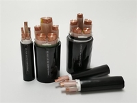 Cable de Alimentación de Bajo Voltaje YJV con Núcleo de Cobre, Certificado ISO9001, 0.6/1kV XLPE, para Uso Industrial y en Plantas de Energía