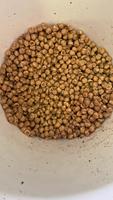 Trieuse de couleur de haute qualité Wenyao pour les grains optiques, les haricots, les noix de pin, les noisettes
