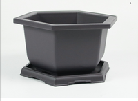 Planteur Soucoupe Hexagonal Pot de Fleur Forte Lumière du Soleil Pot de Fleurs