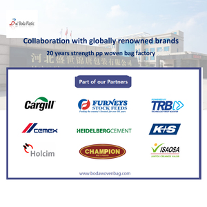 Fabricante de bolsas tejidas Pp Bolsas de cemento con válvula 50kg 25kg AD Star Sacos de embalaje de cemento <span class=keywords><strong>Portland</strong></span> <span class=keywords><strong>Precio</strong></span> barato - Product Image 6