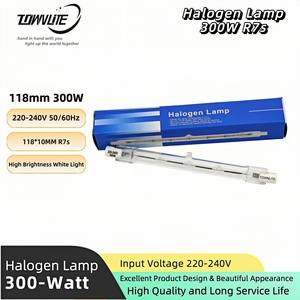 Lampe <span class=keywords><strong>halogène</strong></span> R7S à haute luminosité, blanc froid, <span class=keywords><strong>300W</strong></span>, 118mm, <span class=keywords><strong>tube</strong></span> en quartz 220-240V pour éclairage de studio et de construction, OEM - Product Image 2