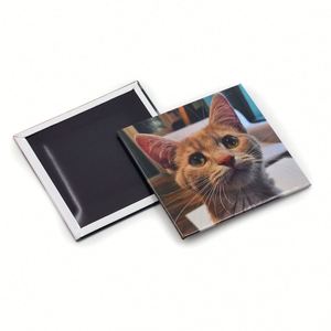 Custom Cute Cat Refrigerator Magnets <b>Creative</b> Animal Souvenir <b>Gifts</b> Decorative Magnetic - Product Image 3