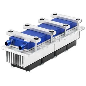 288W termoelettrico Peltier refrigeratore di refrigerazione DC12V semiconduttore condizionatore d'aria sistema di raffreddamento fai da te Kit