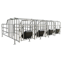 Nuevo Establo de Gestación para Cerdas, Jaula de Acero Inoxidable Galvanizado, Corral para Cerdos, Equipo de Cría de Cerdos con Larga Vida Útil