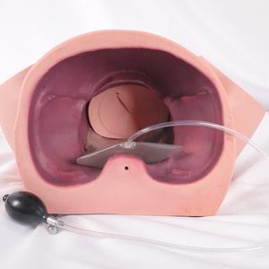 Modèle de simulation de formation scientifique médicale avancée en PVC, taille humaine, démontrant des scènes de travail intensif - Product Image 4