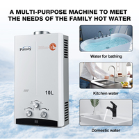 Chauffe-eau instantané numérique à gaz GPL/GN de 10L, 13L, 20L, 20KW, à tirage naturel, grande capacité, haute qualité, pour hôtel