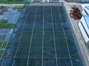 Usine Jiapei Cadre de tuyau <span class=keywords><strong>en</strong></span> acier galvanisé Pare-soleil <span class=keywords><strong>Abri</strong></span> simple Système d'ombrage de serre pour fleurs <span class=keywords><strong>en</strong></span> pot - Product Image 5