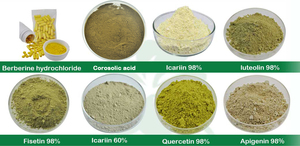 ผงอาหารเสริมแครนเบอร์รี่ปราศจากน้ำตาลรองรับได้ตามต้องการ - Product Image 6