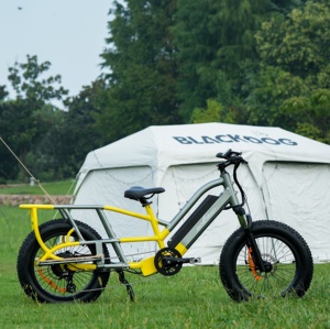 Tốt Bán Chất Béo Lốp Hàng Hóa Ebike 48V Velo Hàng Hóa Electrique 17.5ah Kép Pin Chất Béo Lốp Dài Đuôi Gia Đình Điện Hàng Hóa Xe Đạp - Product Image 1