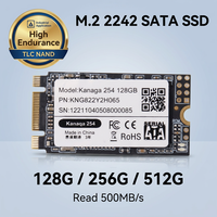 SSD M.2 SATA 2242 Daya Tahan Tinggi 500MB/s Penyimpanan Flash Berumur Panjang untuk Mini PC & Sistem Tertanam