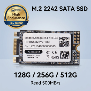 SSD M.2 SATA 2242 Haute Endurance 500 Mo/s, Stockage Flash à Longue Durée de Vie pour Mini PC et Systèmes Embarqués - Product Image 1