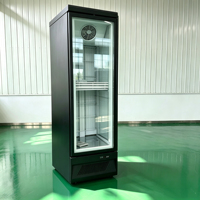 Congélateur commercial 500L à porte unique pour boissons, à froid direct, équipement de réfrigération domestique pour les magasins de proximité