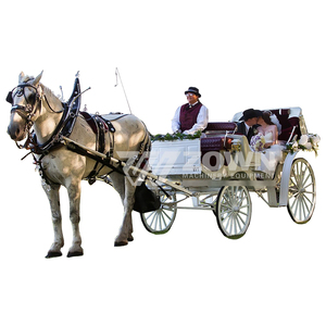 Carro Eléctrico Turístico sin Caballos, Carroza de Pasajeros de Gran Espacio, Apto para Zonas Turísticas, Bodas, Negocios, Venta al por Mayor - Product Image 4