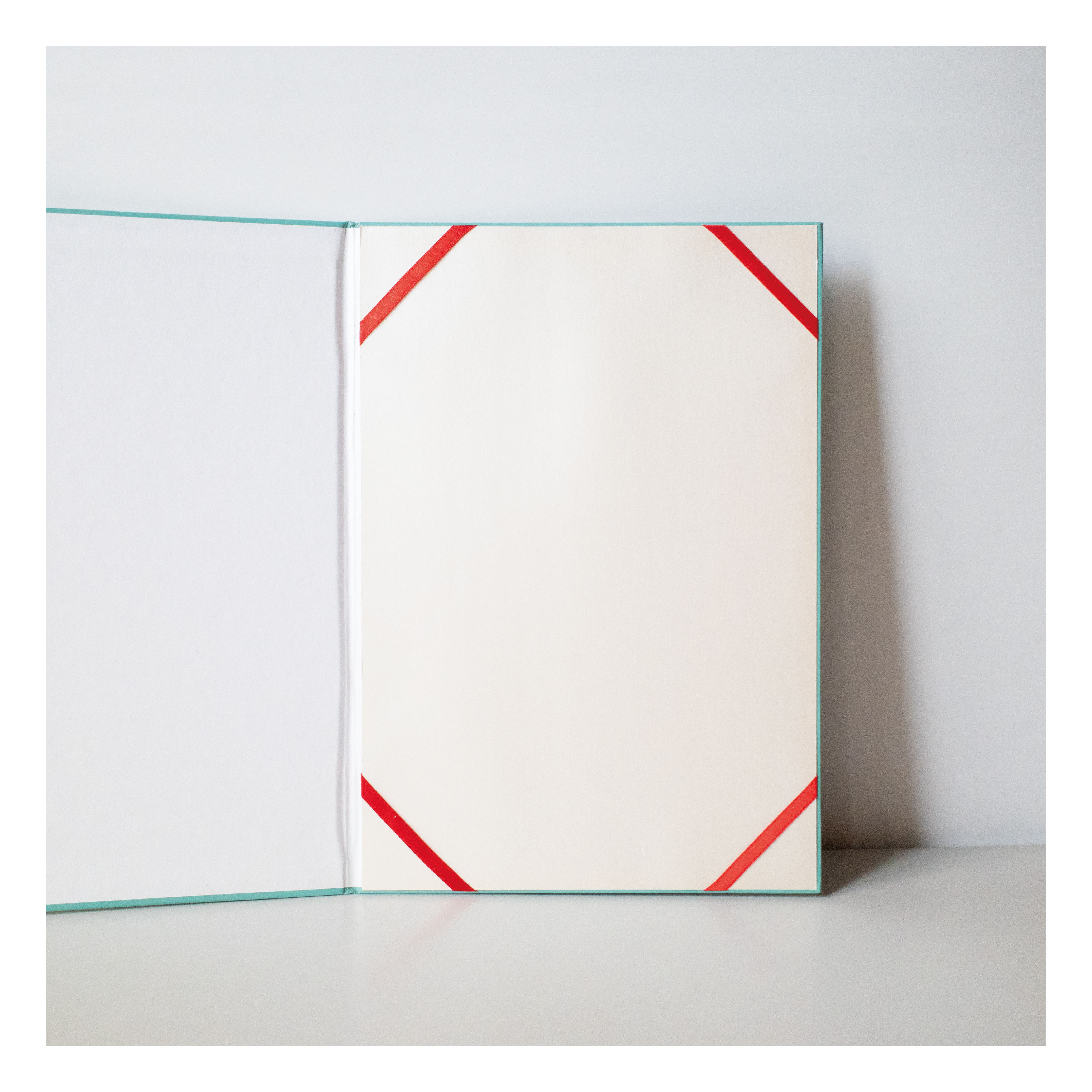 Color Printing CMYK/ Spot Color