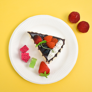 Assiettes jetables en bagasse de canne à sucre écologiques 100% compostables de 9 pouces pour gâteaux, pizzas, micro-ondes et résistantes à l'huile - Product Image 6