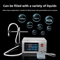 Remplisseuse de liquides CNC DMX facile à utiliser avec dosage de précision pour l'embouteillage de boissons et de produits laitiers à usage professionnel