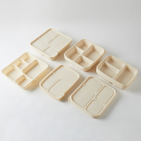 Assiettes de bagasse jetables divisées rectangulaires compostables à 5 compartiments pour plateau à déjeuner scolaire pour aller récipient alimentaire pour la vente en gros