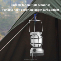 Haut-parleur Bluetooth portable CP&AP pour le camping avec lampe torche, lumière LED à flamme alimentée par l'énergie solaire pour les activités de plein air