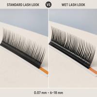Cils effet mouillé professionnels pour greffe en rangs serrés, ultra-doux, sans épaississement à la racine, spécial salon, haute qualité